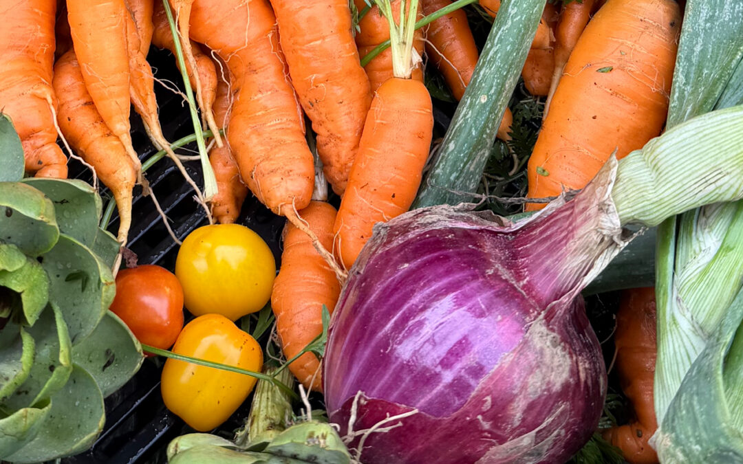 The Art and Craft of the Harvest Table